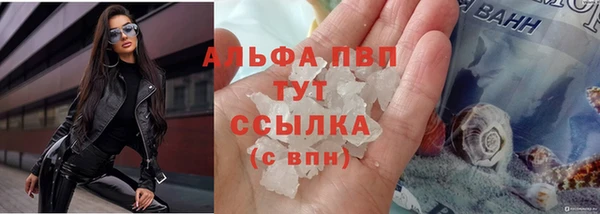 шишки Богородицк