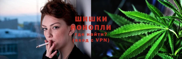 шишки Богородицк