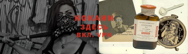мдпв Богданович