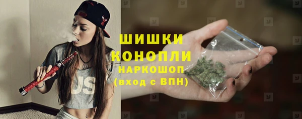 шишки Богородицк
