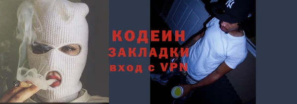 шишки Богородицк