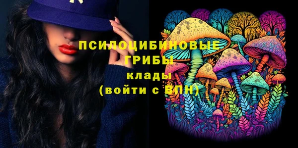 дмт Богородск
