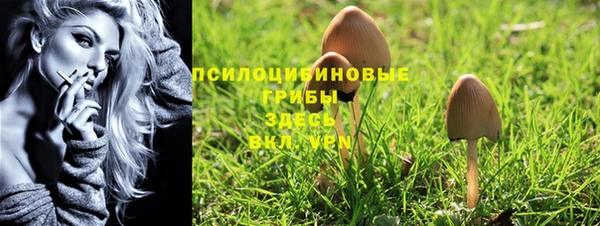 шишки Богородицк