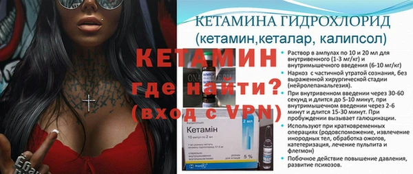 шишки Богородицк