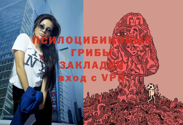 шишки Богородицк