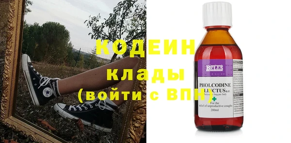 шишки Богородицк