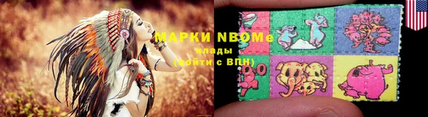 шишки Богородицк