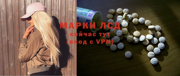 мдпв Богданович