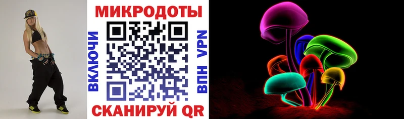 Псилоцибиновые грибы Psilocybe  Томск 